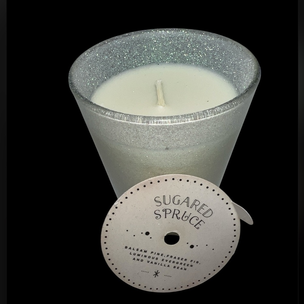 Cost Plus World Market Sugared Spruce Candle - Silver and White